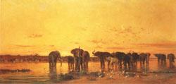 Charles tournemine African Elephants